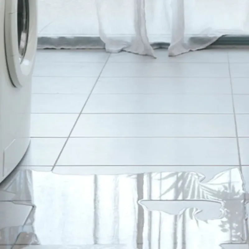 Appliance Leak Cleanup in Robeson County, NC