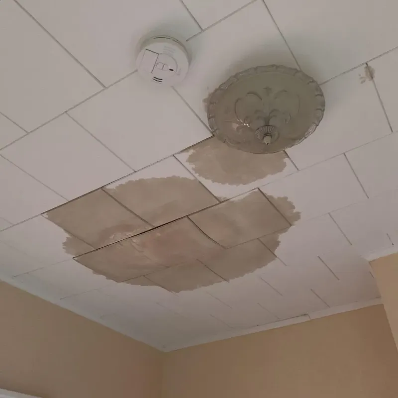 Ceiling Water Damage Repair in Robeson County, NC