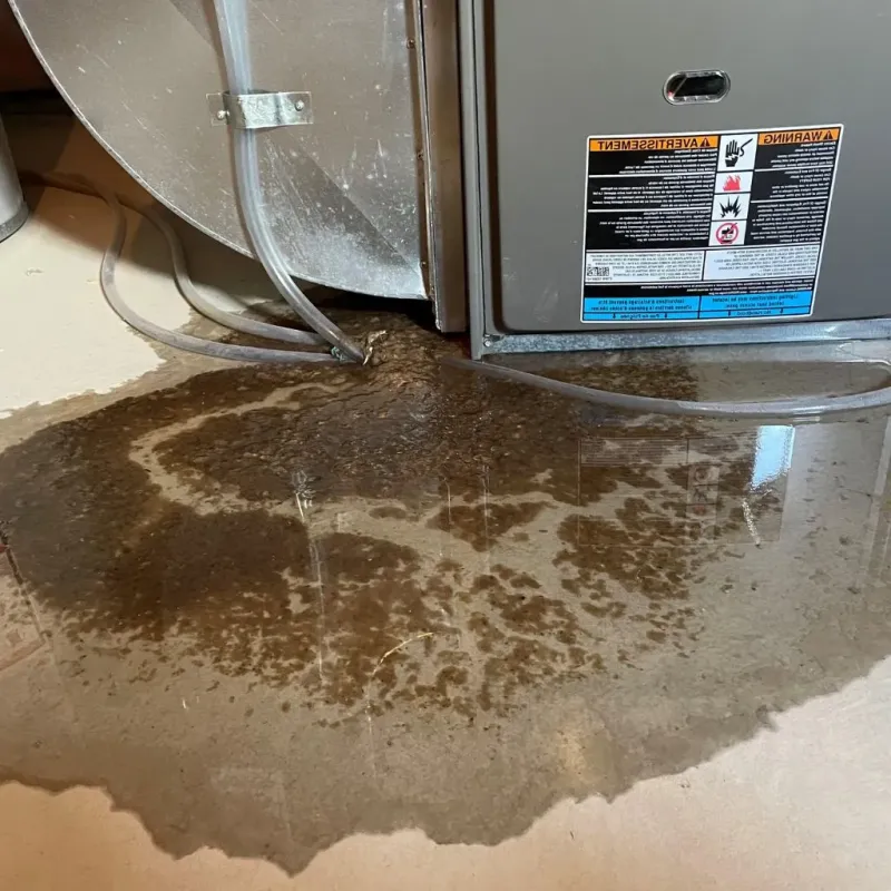 Pipe Burst and Leak Restoration in Robeson County, NC