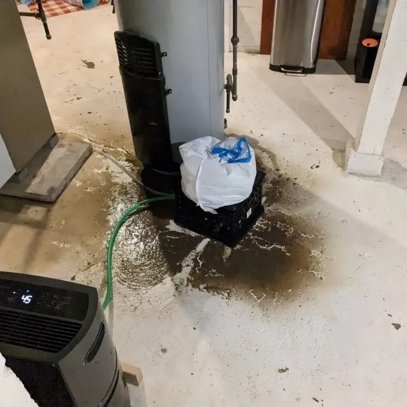 Sewage Backup Cleanup Service in Robeson County, NC